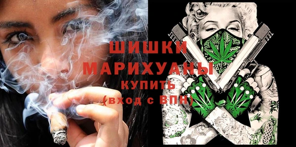 молекула духа Протвино