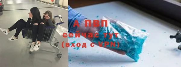 молекула духа Протвино