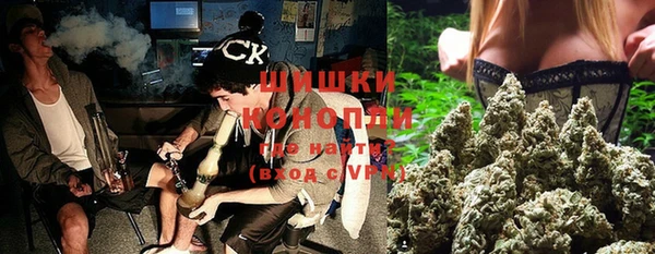молекула духа Протвино
