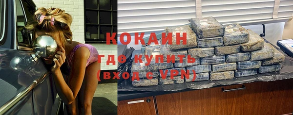 молекула духа Протвино