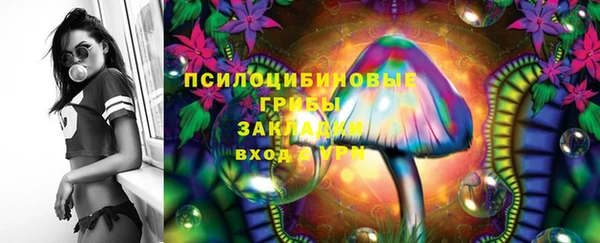 молекула духа Протвино