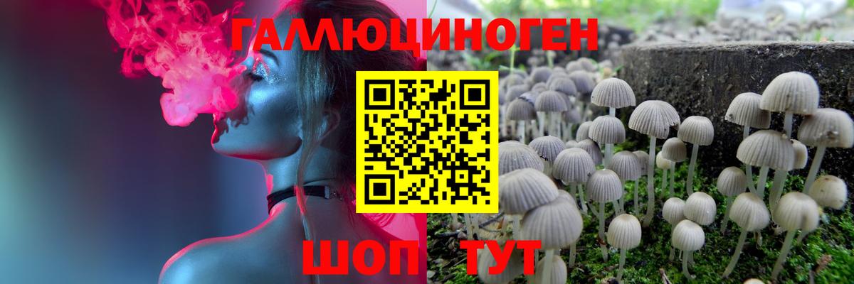 Кушва  Псилоцибиновые грибы Psilocybine cubensis  Вход с VPN 