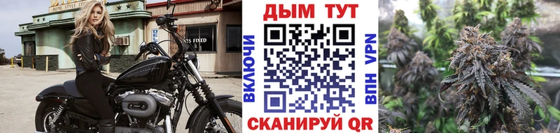 наркота  Кушва  Каннабис планчик 