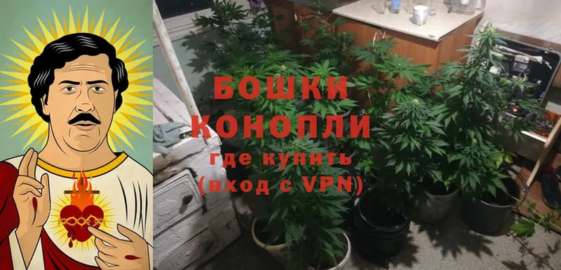 Конопля White Widow  купить   площадка как зайти  Кушва 