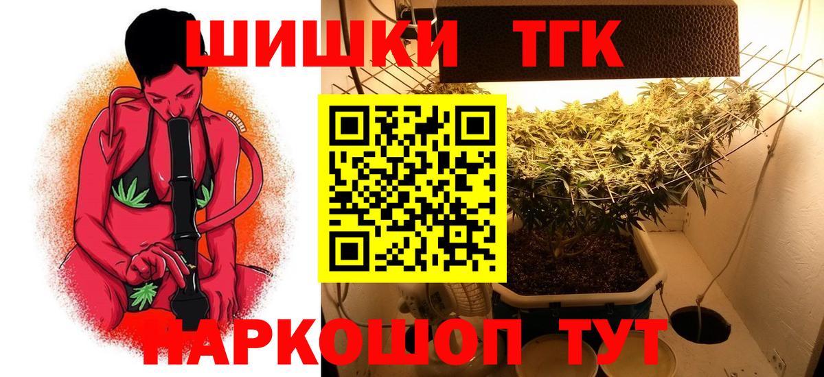 Конопля конопля Кушва